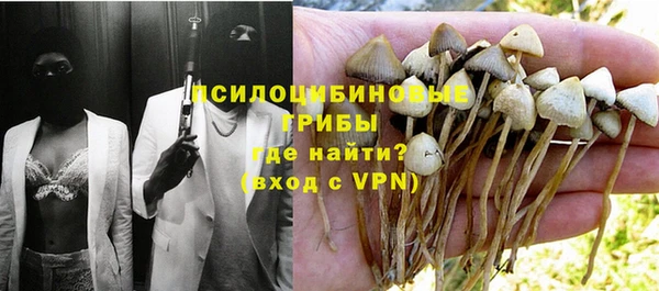 спайс Приозерск