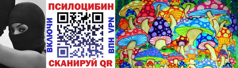 купить Игра Псилоцибиновые грибы GOLDEN TEACHER
