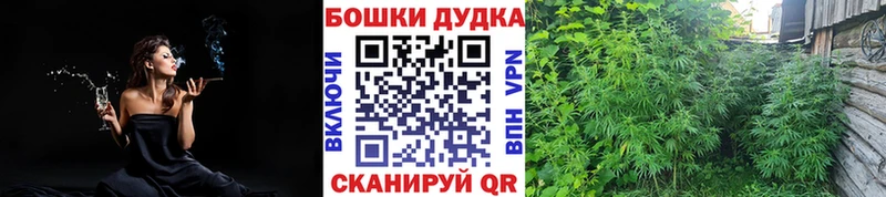 Бошки марихуана конопля Игра